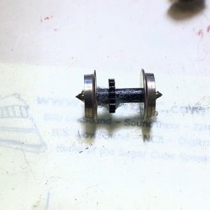 40 YEAR FLUFFAGE.jpeg