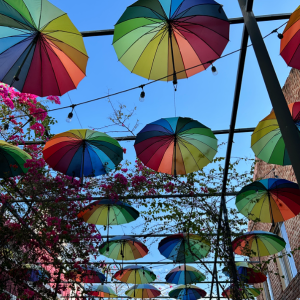 Screenshot 2026-03-07 at 7.20.08 AM.png