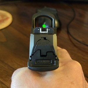 PDP Sight Picture0011.jpg