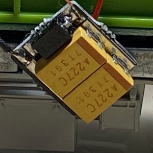 KOTODEN STAYALIVE.jpeg