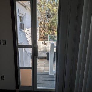 Dog_Door_04_11_26.jpg