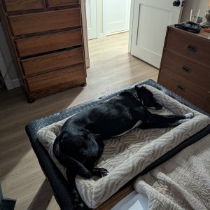 Murphy_New_Bed_233.jpg