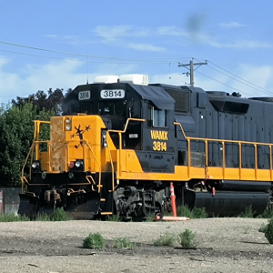 Wile E. Coyote nose decal (2).png