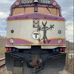 Wile E. Coyote nose decal (1).png