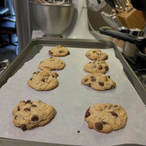 IMG_0207.jpeg
