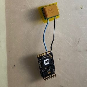 DECODER STAY ALIVE.jpeg