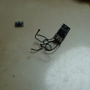 TERRIER DCC SOCKET.JPG