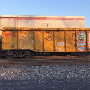 IMG_20260227_171935718.jpg
