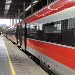 IMG_7196.jpeg