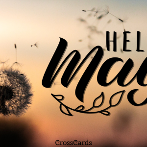 1777633532882.png