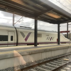 IMG_7323.jpeg