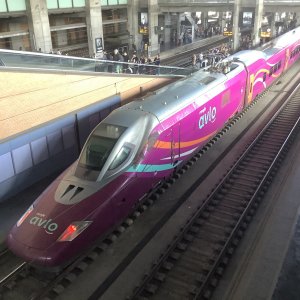 IMG_7355.jpeg
