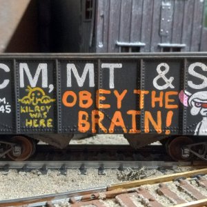 CM, MT & SL hopper 12345 (My model) (1).jpg