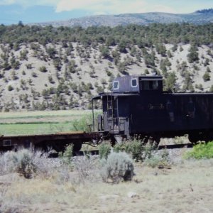 IMAG0439.JPG