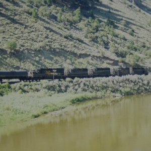 IMAG0958.JPG