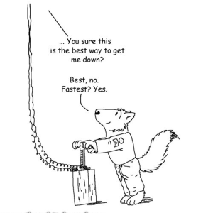 1779441267092.png