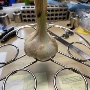 GARLIC.jpeg