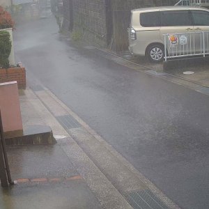 RAIN GUSTS 1.jpg