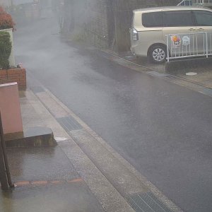 RAIN GUSTS 2.jpg