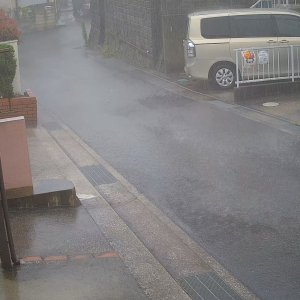 RAIN GUSTS 3.jpg