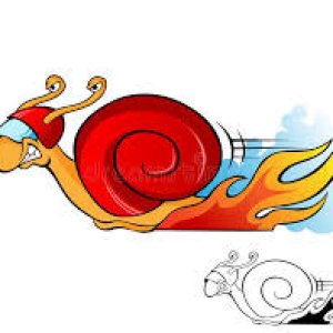 RACING SNAIL.jpg