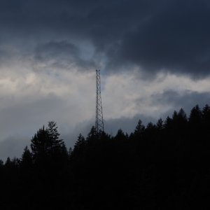 IMGP1231.JPG