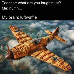 729729196_1408728057953600_2603908010742896014_n.jpg