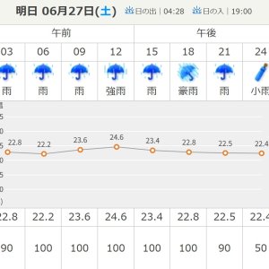 RAIN FOR TOMORROW.jpg