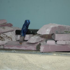 DSC_3753.JPG