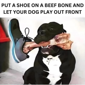 1782700053294.png