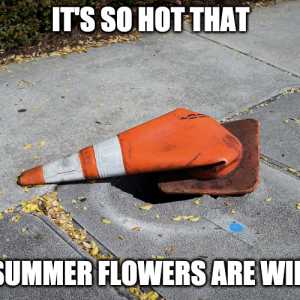 1782852560158.png