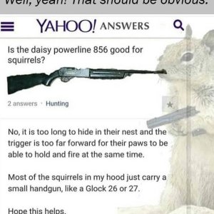Squirrel!.jpg