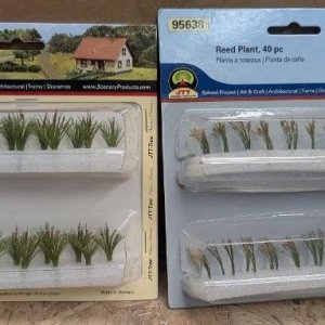 cattails.jpg