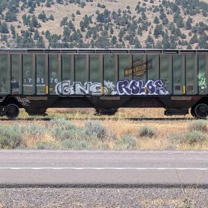 CNW hopper.jpg