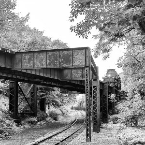 IMG_20260614_153949038_HDR~2.jpg