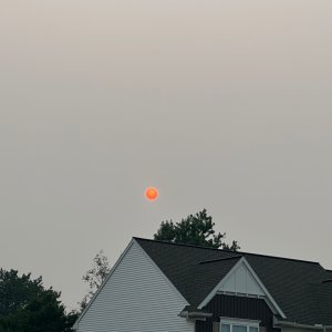IMG_1648.jpeg
