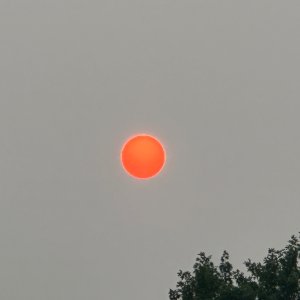 IMG_1649.jpeg