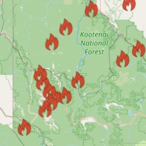 fires2026.jpg
