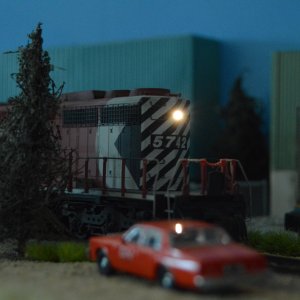 DSC_2446.JPG