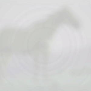 Troy's Horse.png
