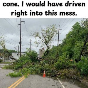 IMG_0111.jpeg