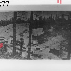 1877 10141.jpg