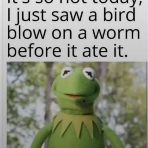 IMG_2716.jpeg
