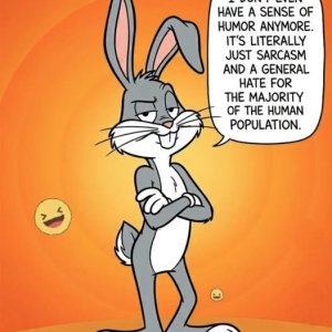 bugs sarcasm.jpeg
