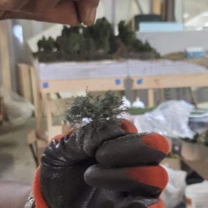 104 shrub 6.jpg