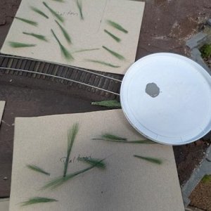 grassb.jpg