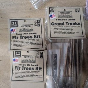 trees...jpg