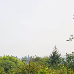 image000000 (2).jpg