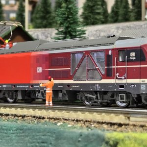 BR249001.jpg