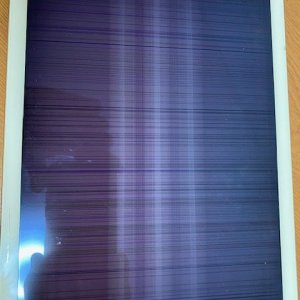 F SCREEN.jpeg
